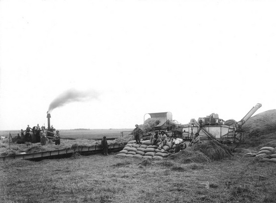 Archivo: Antigua cosecha.jpg